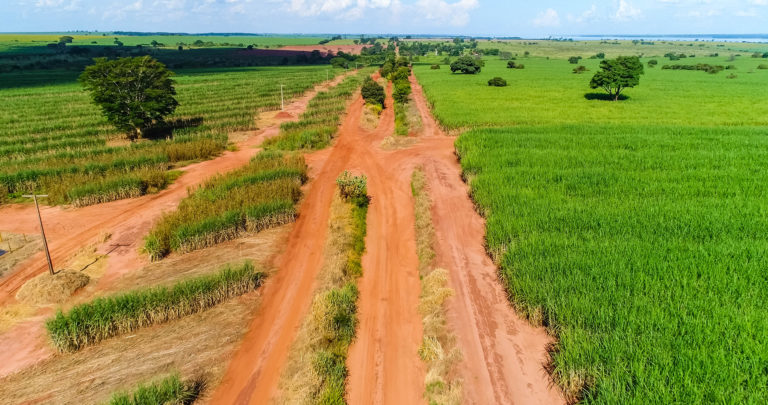 Estrada Rural Que Liga Pereira Barreto Ao Distrito Bela Floresta