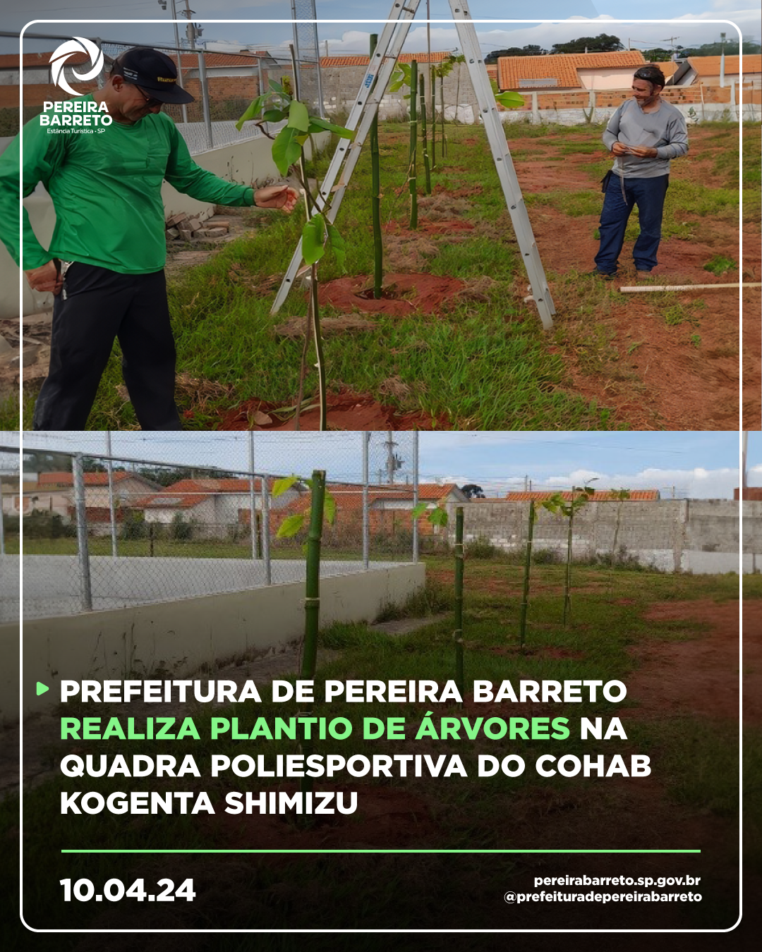 Prefeitura De Pereira Barreto Realiza Plantio De Rvores Na Quadra