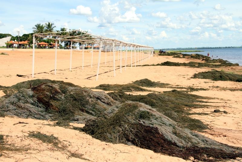 Algas recolhidas e parte da estrutura que está sendo montada na praia municipal