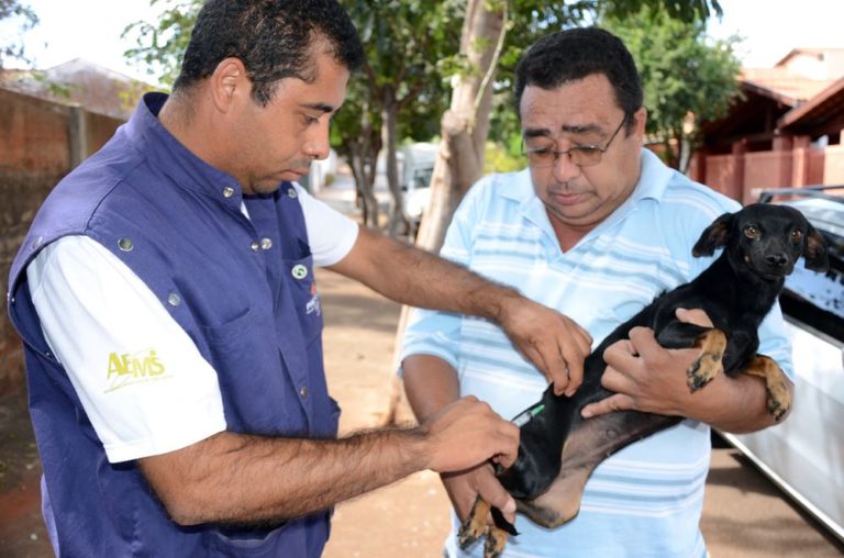 Agente Municipal de Saúde aplica a vacina contra a raiva.