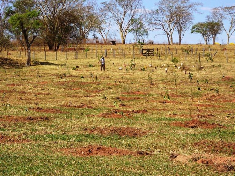 Recuperação de nascentes desenvolvida na Fazenda Laranja Azeda