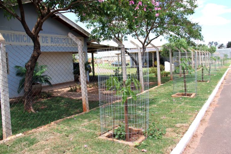 Plantio de árvores foi realizado também na frente da Secretaria de Agricultura e Meio Ambiente