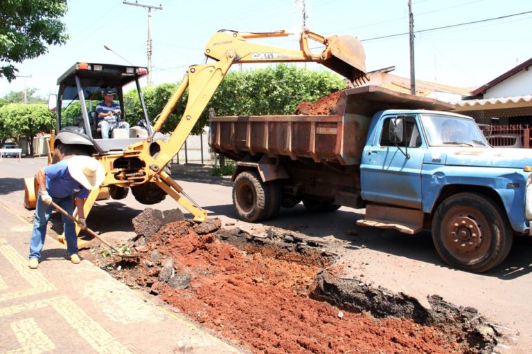 Funcionários da Prefeitura fazem a remoção dos borrachudos