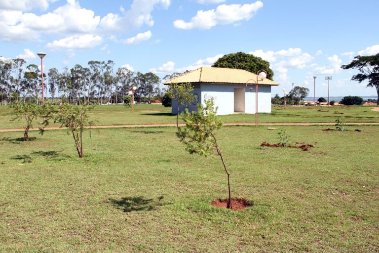 Mudas de Ipê-Mirim plantadas na Praça da Melhor Idade