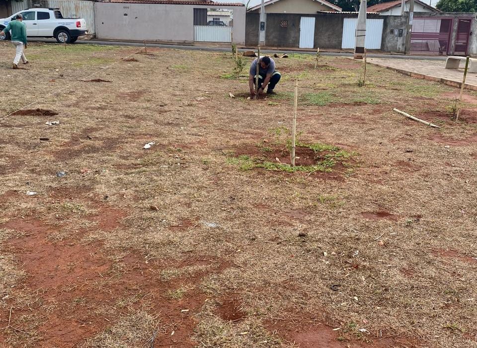 Secretaria Municipal de Agricultura e Meio Ambiente realiza plantio de árvores frutíferas na Cohab